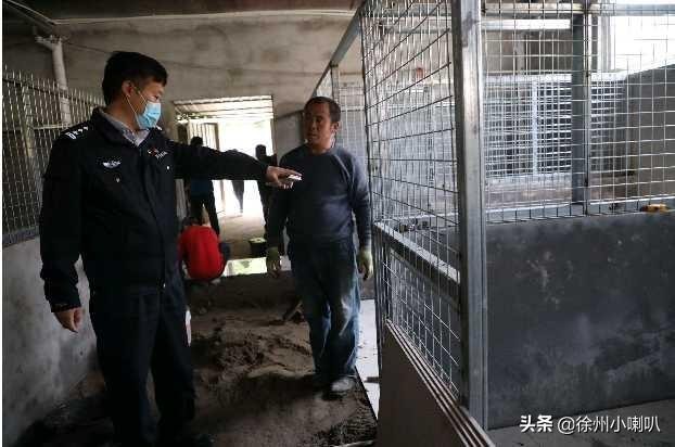 徐州200多只无主犬流浪犬要搬高配新犬舍啦！市民可认养哦